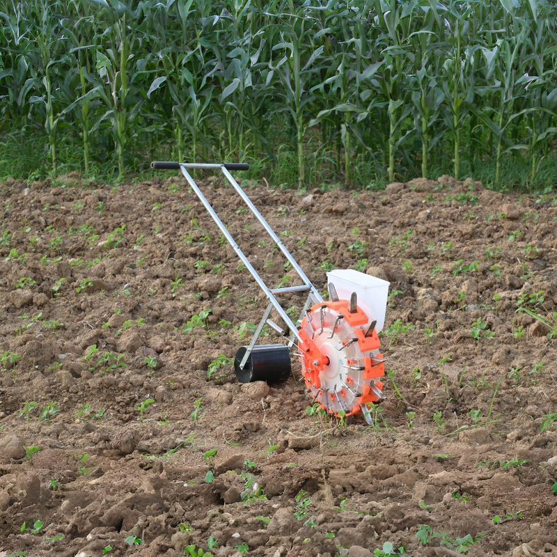 بذرة اليد والخضار فاكهة الفاكهة بذرة الذرة