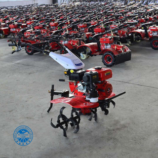 Mini Walk الأمامي Paddy Field Tiller Multi-Function Power Tiller
