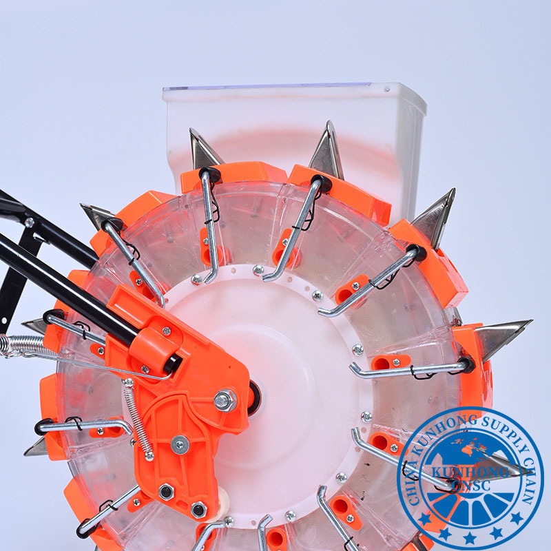 كذبة بذرة الذرة ، بذور البذور البذور البذرة البذرة للبذور البذور البذور الدقيقة ، بذور البذور ، بذور البذور