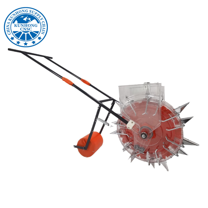 باز باي هاند رمل مانولا كرنب زارع بذرة