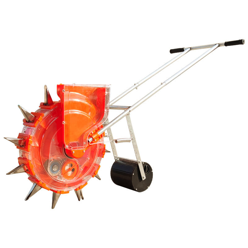 دليل بذور الخضار الطماطم العشبية زراعة بذرة مخصصة