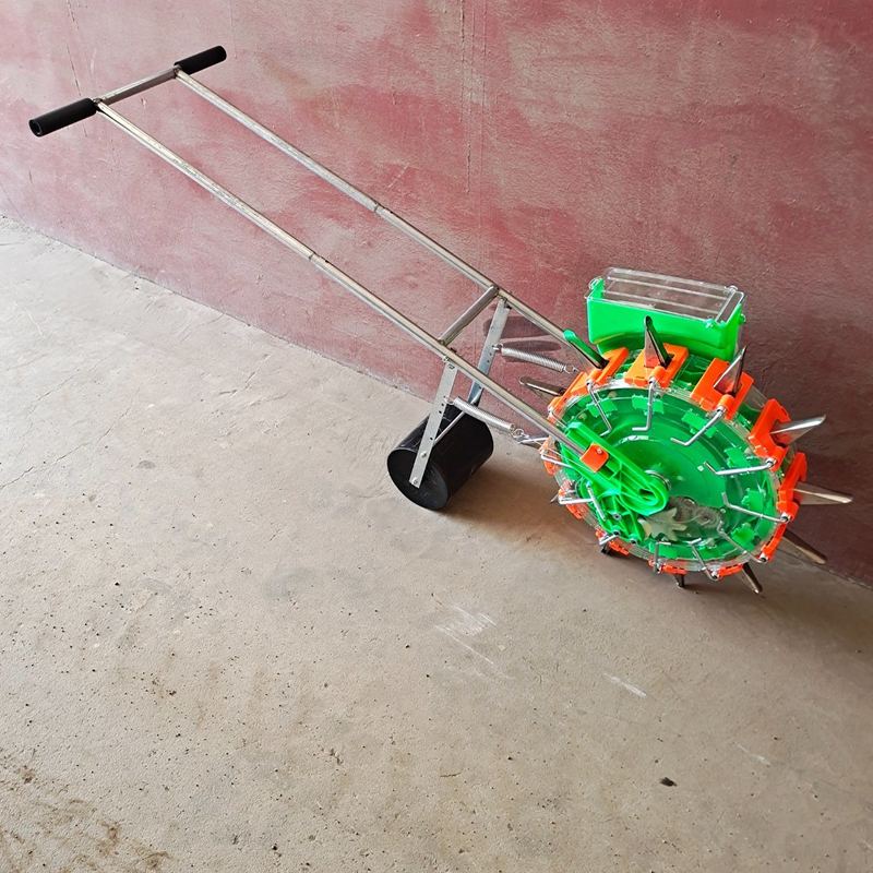 الزراعة الزراعية اليدوي بذور البصل البصل الأرز بذور الذرة