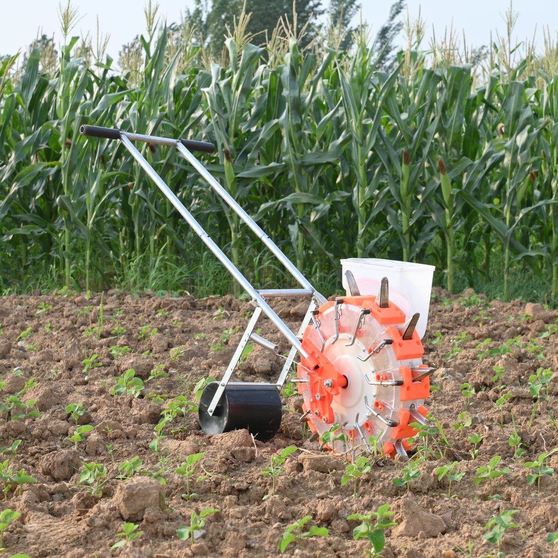 زارع بذرة الذرة شبه السميس Semoir Maï S Engrais Agricultural Machine Vegetable Push Pusher و Transplanters