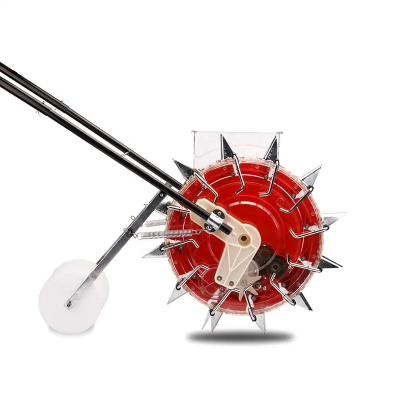 البرسيم آكش آكش الجزر بذور القمح العشب